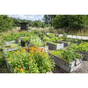 Private h�jbede ved Myretuen i Nord F�lled i Randers