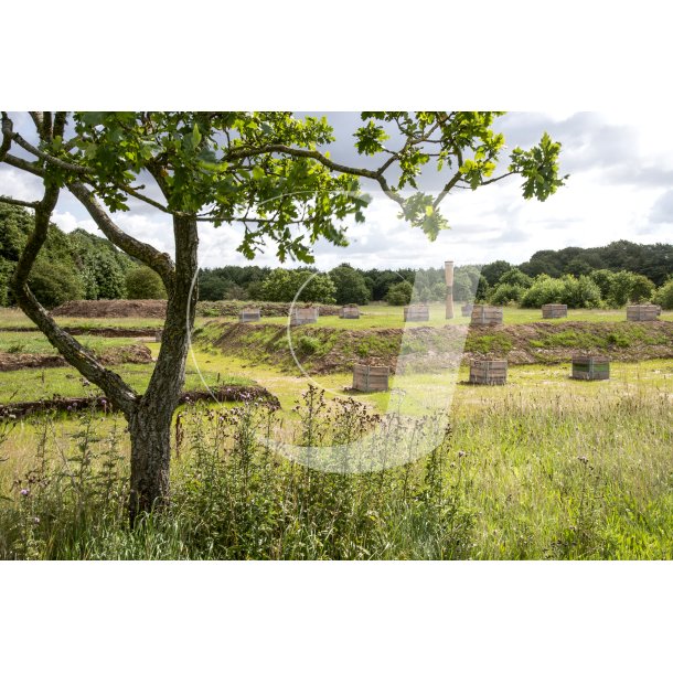 Au Natura Bibliotek p Nordre Flled i Randers