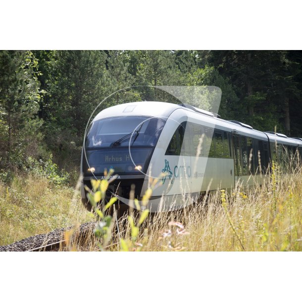 Arriva tog fra Viborg tt p Lang Station