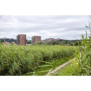 Natur og Randers Skyline er t�t p� hinanden ved Randers Fjord