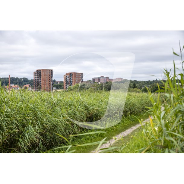 Natur og Randers Skyline er tt p hinanden ved Randers Fjord