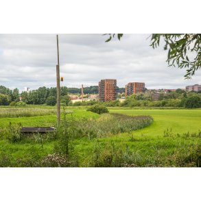 Randers Skyline passer smukt med naturen langs Randers Fjord