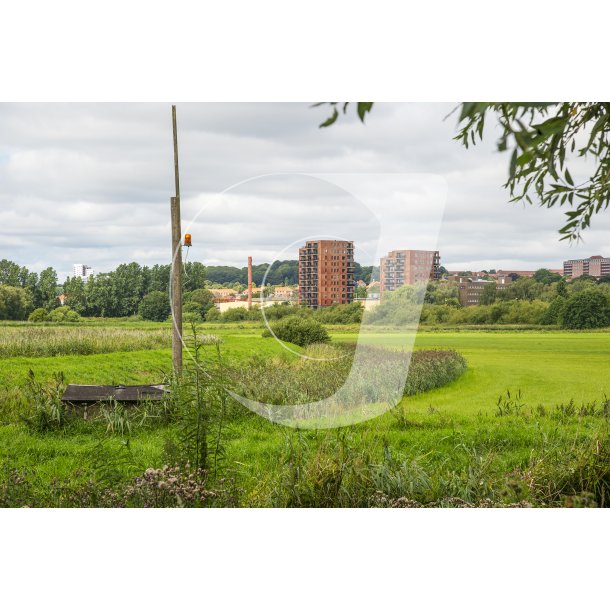 Randers Skyline passer smukt med naturen langs Randers Fjord