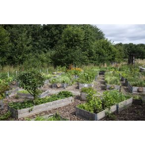 H�jbede ved Myretuen t�t p� Nordre F�lled i Randers