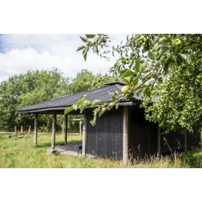 �bletr� ved opholdsomr�de p� Nordre F�lled ved Randers