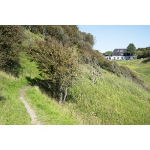 N�sbydale Badehotel ved Limfjorden. T�t p� R�nbjerg og Ranum