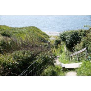 Stien mod Limfjorden fra N�sbydale Badehotel