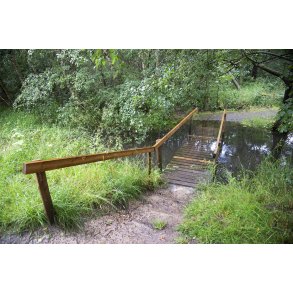 Regnvejrs dag i Paderup Mose ved Randers