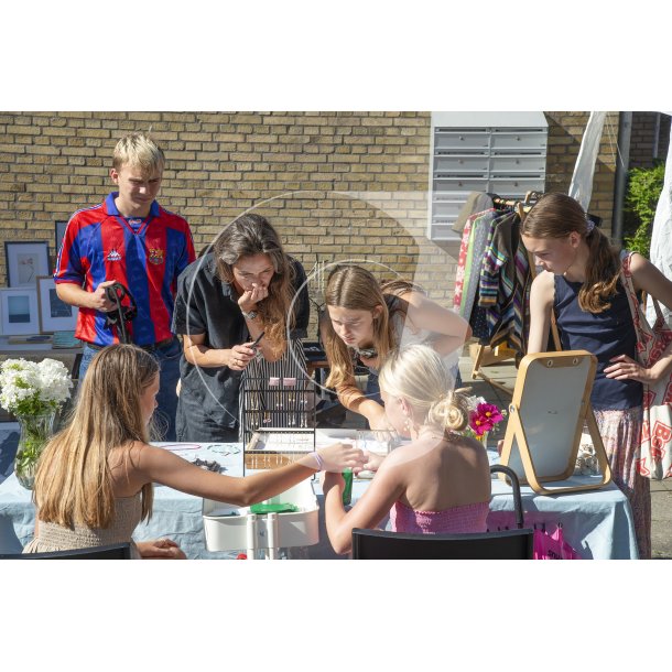 Brabrand byfest - 2023