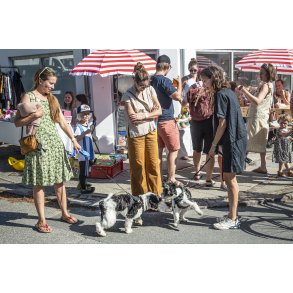 Brabrand byfest - 2023