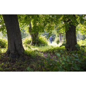 Gammelhave ved Fussing� S�