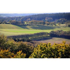 Udsigt over landskabet fra Hoh�j p� kanten af Mariager Fjord.