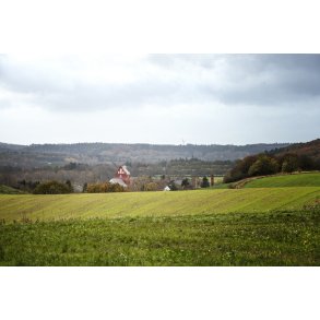 �lum Kirke skimtes her bag bakkerne