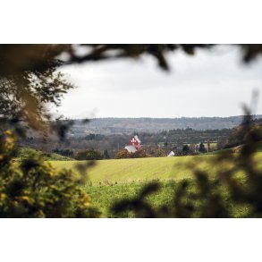 �lum Kirke ses her fra 