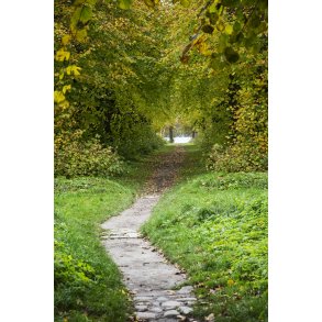 Gammel Have med Fussing� s� i baggrunden