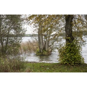 Fussing� S� set fra Gammel Have