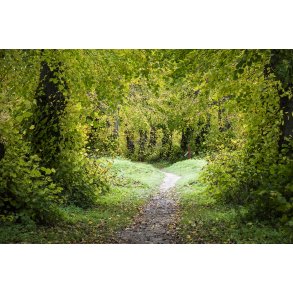 Gammel Have ved Fussing� S�