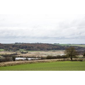 Enge langs N�rre�en ved Venning t�t p� Randers