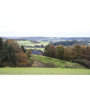 Efter�r i N�rre�dalen ved Venning