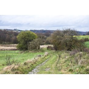 Efter�r i N�rre�dalen ved Venning