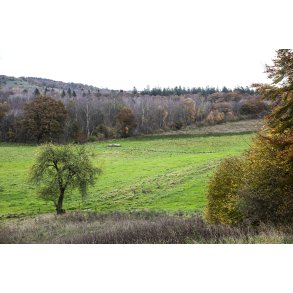 Efter�rs landskab ved Volstrup t�t p� �lum ved Randers