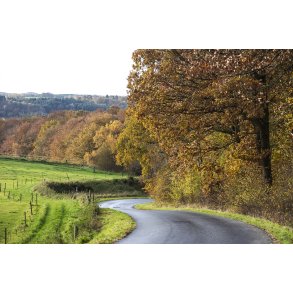 Serpentiner sving p� vejen fra Fussing� m�d �lum t�t p� Randers