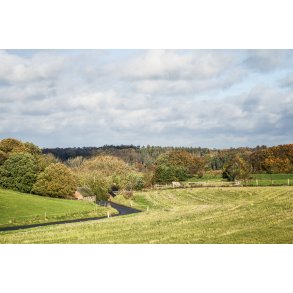 Hist hvor vejen sl�r en bugt ved Volstrup, t�t p� �lum ved Randers