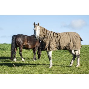 Heste p� mark ved Gjandrup, t�t p� �lum ved Randers