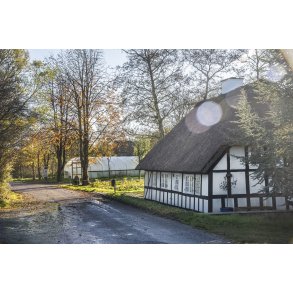 Efter�rs idyl i Gjandrup t�t p� �lum ved Randers