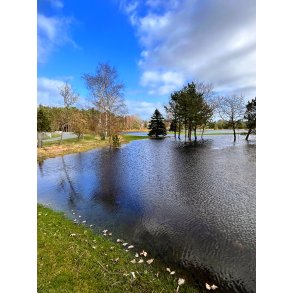 Oversv�mmet golfbane ved Alling�bro