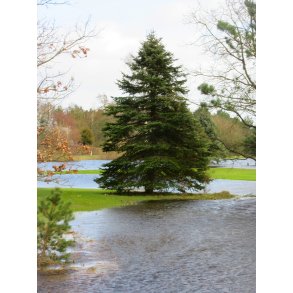 Oversv�mmet golfbane ved Alling�bro          