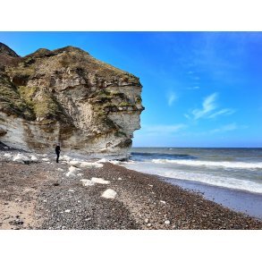 Nordsiden af Bulbjerg ved Vestkysten ses her fra Ellidsbl strand