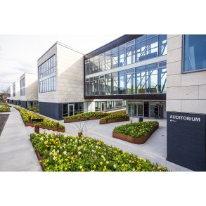 Biodiversitet med for�rsblomster foran Jysk hoveds�de i Brabrand