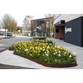 Biodiversitet med for�rsblomster foran Jysk hoveds�de i Brabrand