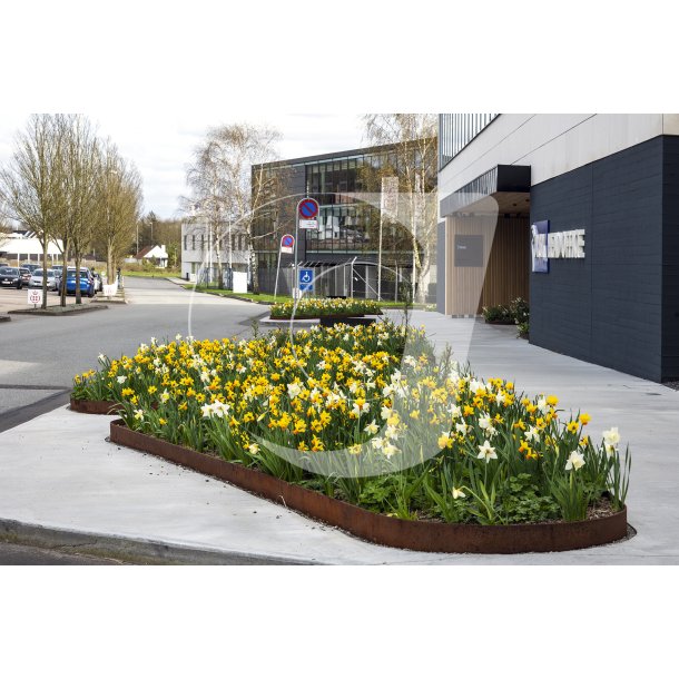 Biodiversitet med forrsblomster foran Jysk hovedsde i Brabrand