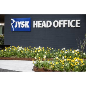 Biodiversitet med for�rsblomster foran Jysk hoveds�de i Brabrand