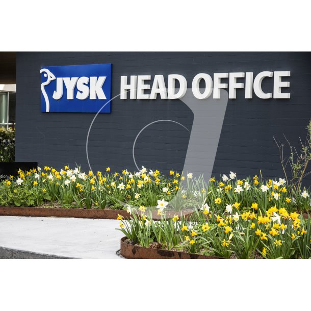 Biodiversitet med forrsblomster foran Jysk hovedsde i Brabrand