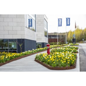 Biodiversitet med for�rsblomster foran Jysk hoveds�de i Brabrand