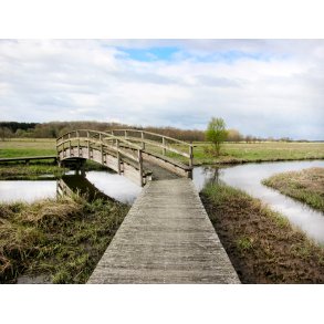 Gangbro over stedet, hvor Alling � m�der T�jstrup b�k t�t p� Alling�bro