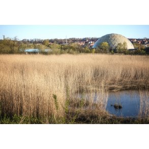 Udsigt fra Storkeengen mod Randers Regnskov, Jernbanebroen over Guden�en og Randers by