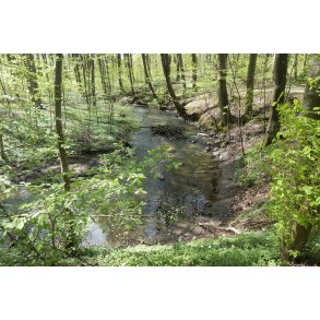 Giber �, en for�rsdag ved Vilhelmsborg