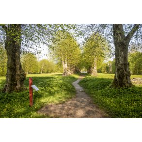 For�rsaften i Gammel Have ved Fussing� S�