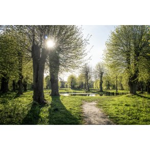 Gammel Have ved Fussing S