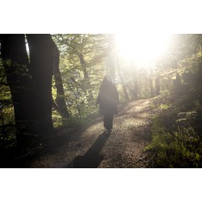 For�rsaften i Fussing� Skoven t�t p� Fussing� vandm�lle