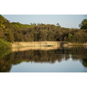 M�lledammen ved Fussing� vandm�lle i aftenbelysning