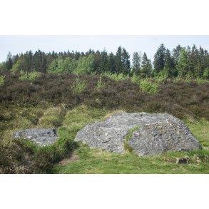 Natur omrdet  Bakker i Nrredalen 