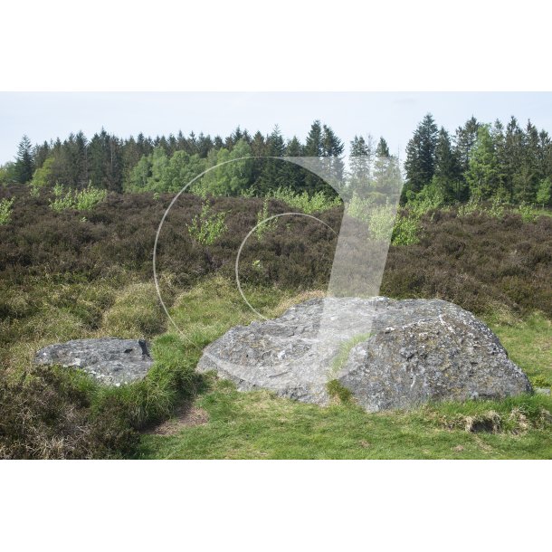 Natur omrdet  Bakker i Nrredalen 