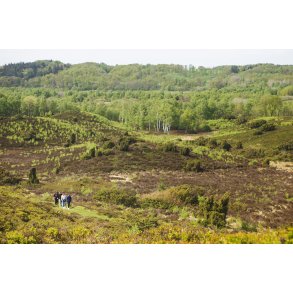 Vandretur i natur omrdet  Bakker i Nrredalen 