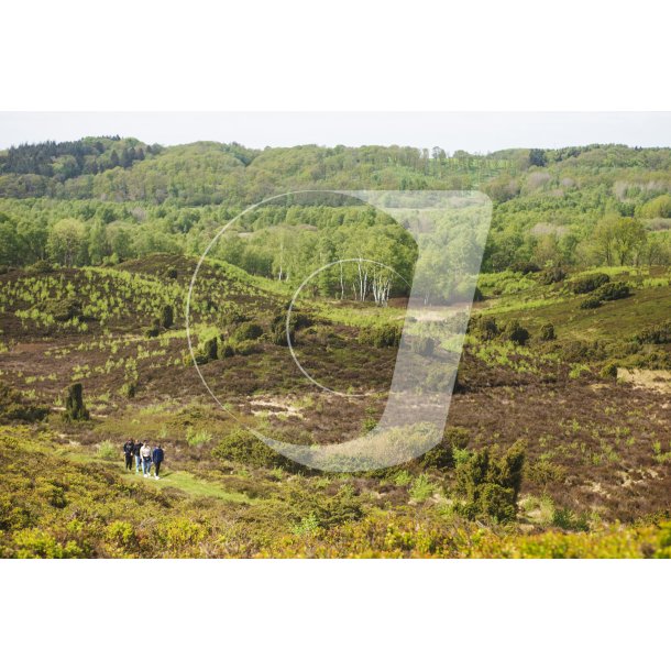 Vandretur i natur omrdet  Bakker i Nrredalen 