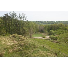 Natur omrdet  Bakker i Nrredalen 
